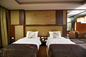 best Premium Hotel Room in Hinjawadi Pune